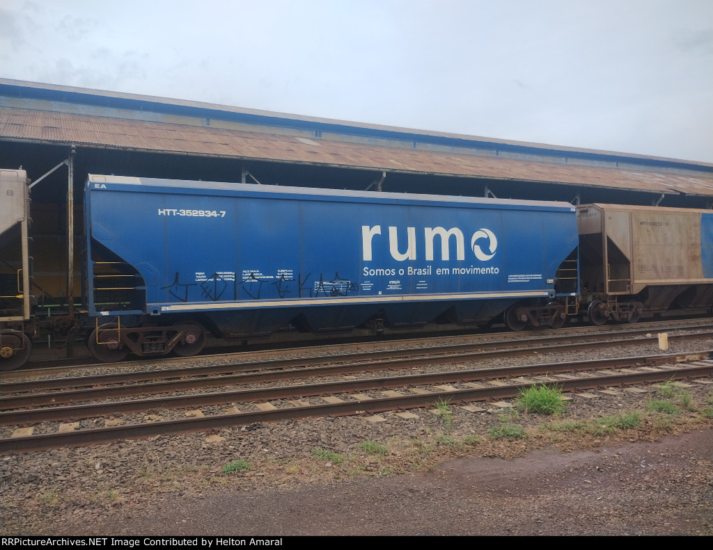 RUMO HTT-352934-7